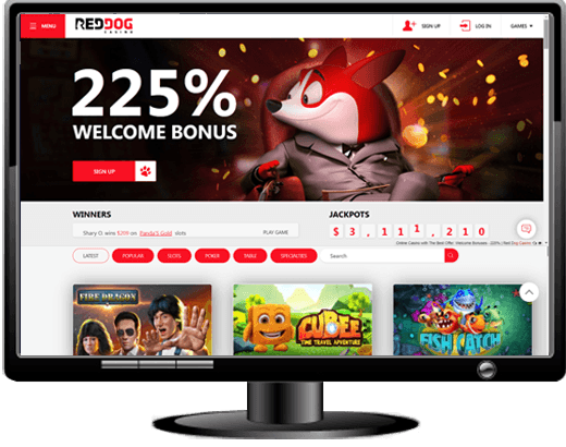 Red Dog Casino Website